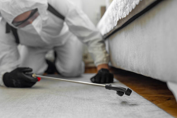Professional Cockroach Control technician working in Shields, MI