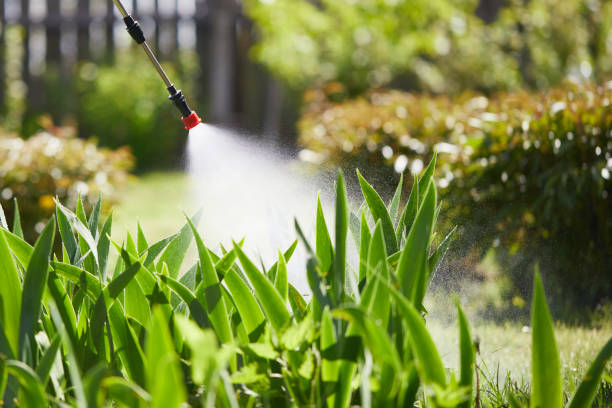 24/7 Emergency Cockroach Control experts in Shields, MI