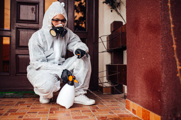 Reliable Cockroach Control contractor in Shields, MI by Nex Pest Control